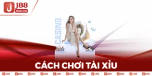 Mẹo Và Cách Chơi Tài Xỉu Giúp Bạn Không Bao Giờ Thua
