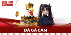 Đá Gà Cam - Khám Phá Đấu Trường Thomo & Kinh Nghiệm Cá Cược