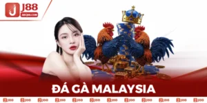 Đá Gà Malaysia – Tìm Hiểu Sàn Đá Gà Nổi Bật Đông Nam Á