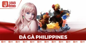 Đá Gà Philippines - Trường Đấu Sôi Động Và Cá Cược Hấp Dẫn