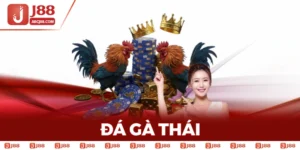 Đá Gà Thái - Thiên Đường Giải Trí Đặc Sắc Hấp Dẫn Nhất