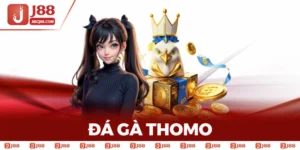 Đá Gà Thomo Online Tại J88 - Đấu Trường Kịch Tính Mỗi Giây