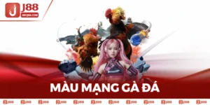 Xem Màu Mạng Gà Đá Hôm Nay - Gà Nào Đá Trên Cơ