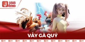Vảy Gà Quý - Phương Pháp Chọn Chiến Kê Chất Lượng Nhất