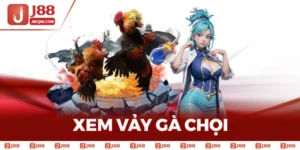 Xem Vảy Gà Chọi - Bí Kíp Lựa Chọn Gà Tốt Nhất Hiện Nay
